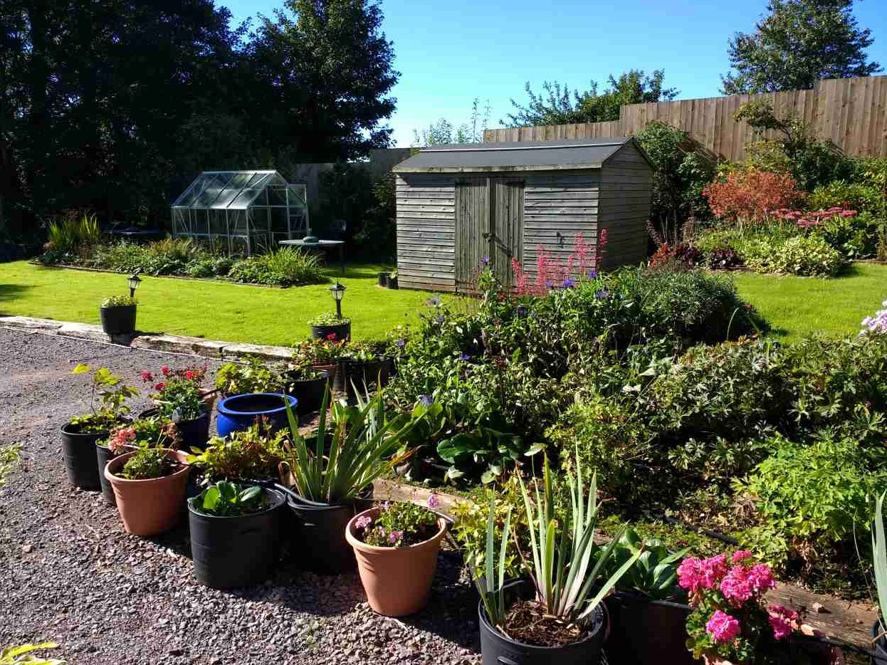 Brambles Bed and Breakfast Tiverton Devon Garden Shed Greenhouse